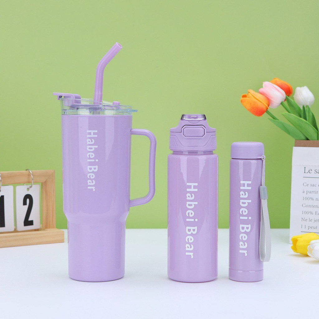 Insulated Tumbler Set, Purpule Or Blue,1200ml/800ml/300ml, Double Wall with Straw and Handle, Hot Cold Drinks Coffee Water Bottles